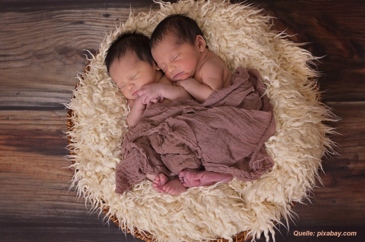 Zwillinge nach der Geburt auf Fell