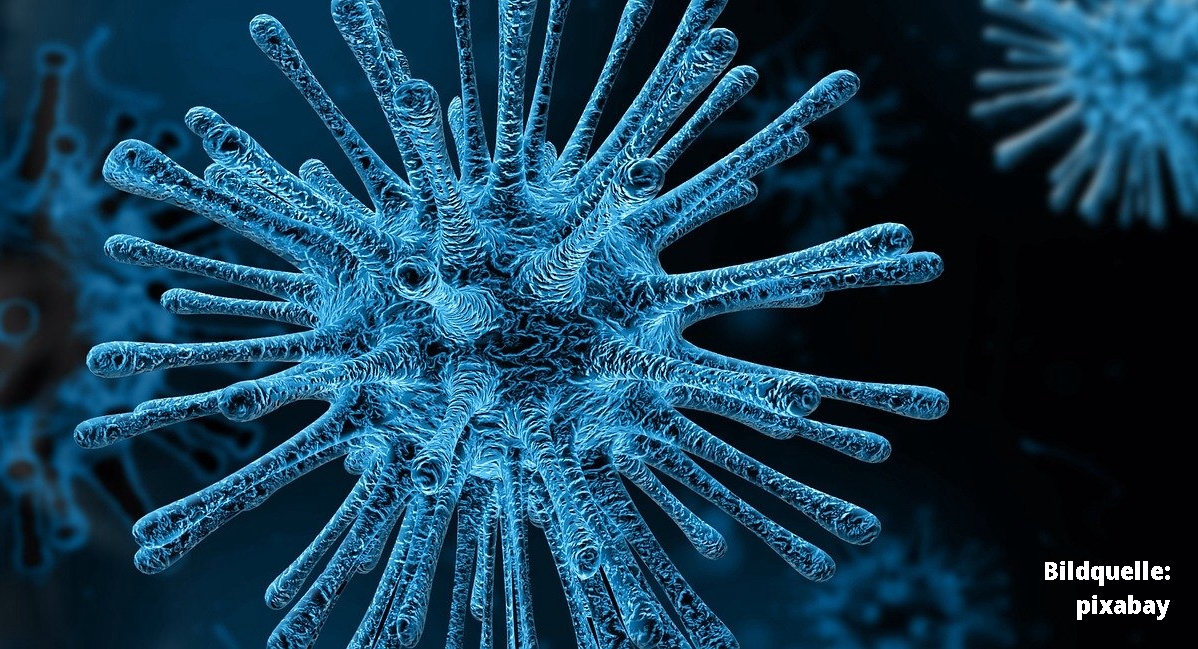 Coronavirus Bildquelle pixabay.com